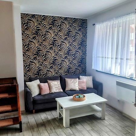 Vila U Przyjaciol Zarnowska Exteriér fotografie